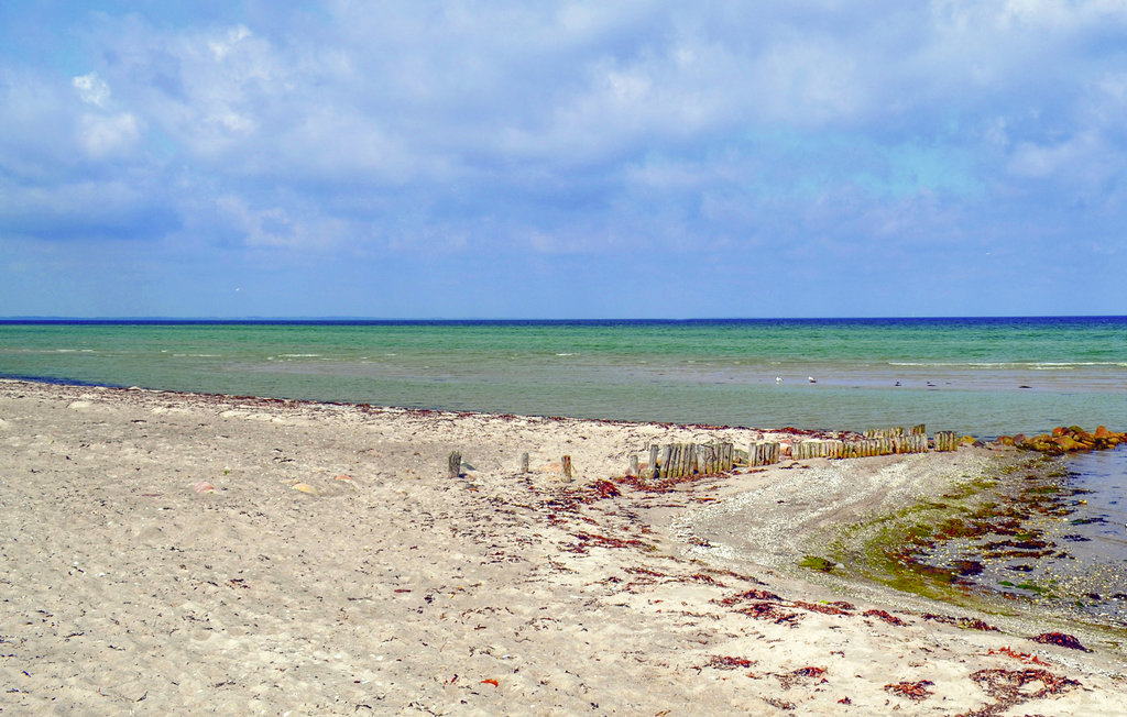 Ferienhaus - Fjellerup , Dänemark - D74435 16