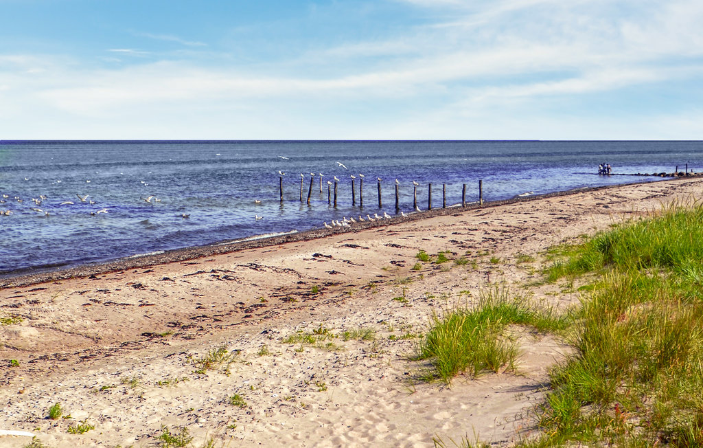 Ferienhaus - Fjellerup , Dänemark - D74551 17
