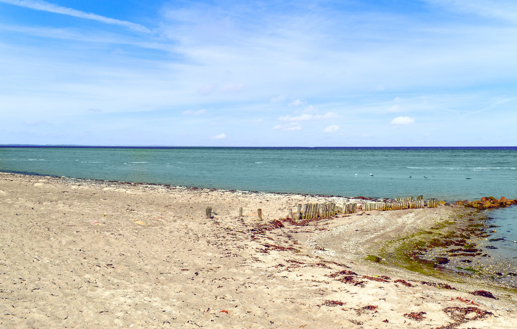 Ferienhaus - Fjellerup , Dänemark - D74551 18