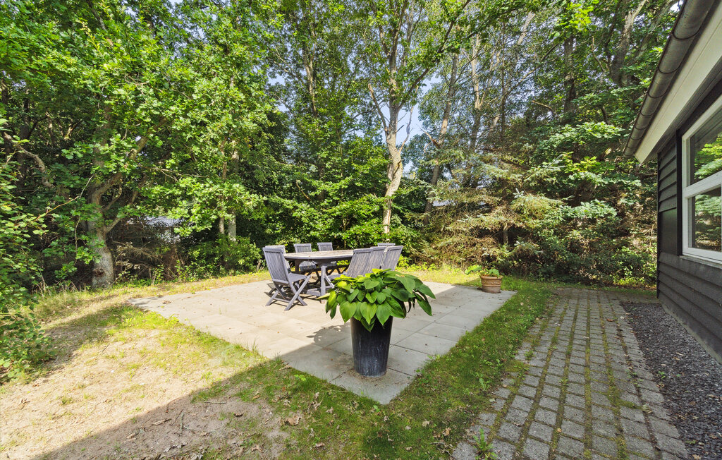 Ferienhaus - Fjellerup , Dänemark - D74025 12