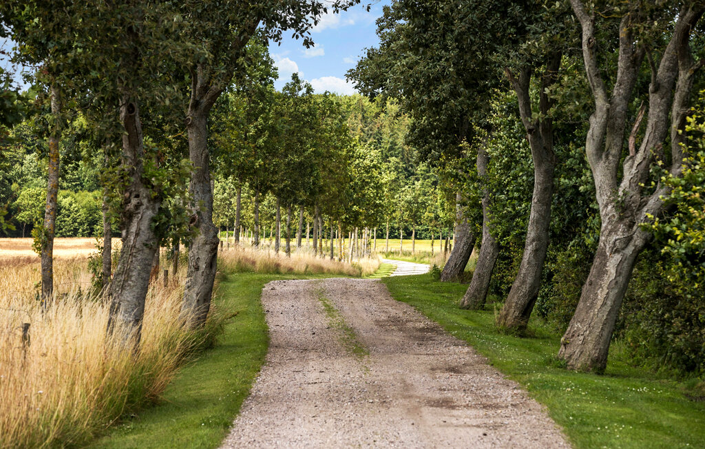Ferienhaus - Fjellerup , Dänemark - D74065 56