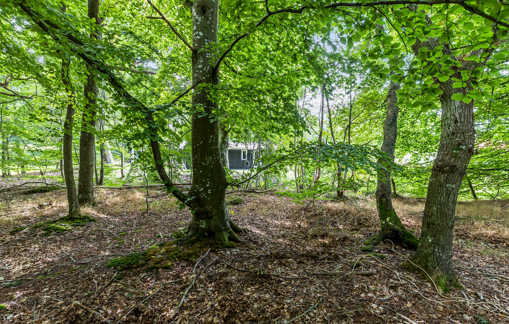 Feriehus - Fjellerup , Danmark - D74481 16