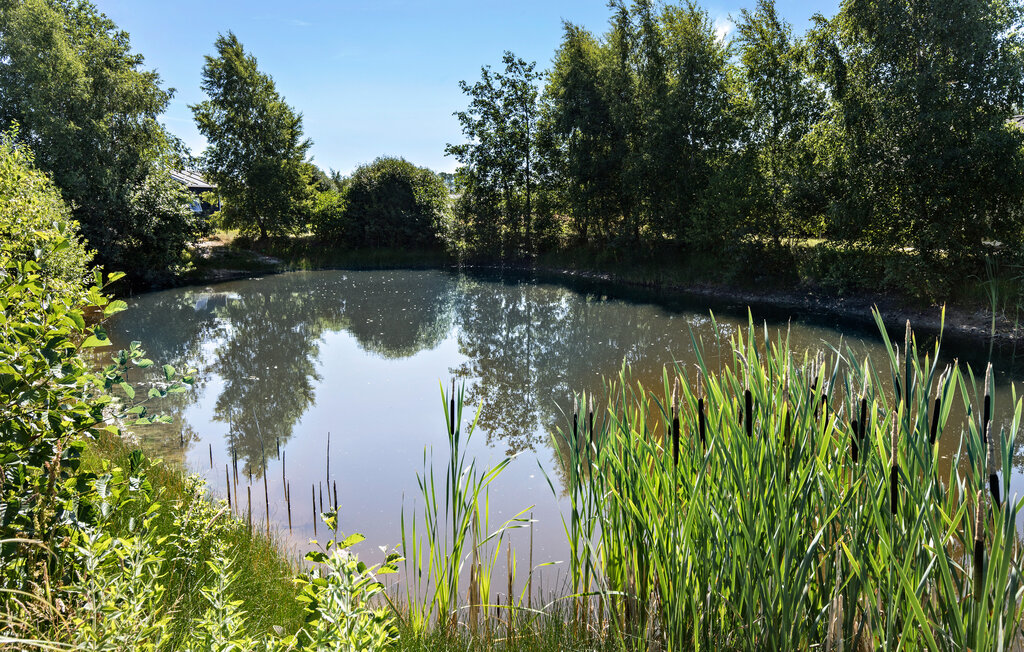 Ferienhaus - Skovsøen 74 , Dänemark - D74074 9