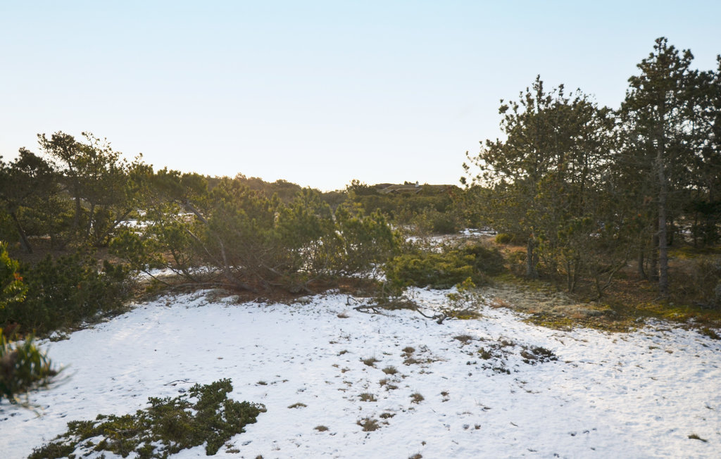 Feriehuse - Anholt , Danmark - D75015 7