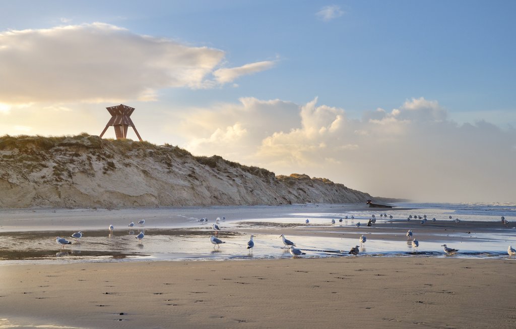 Feriehuse - Blokhus , Danmark - D7557 30