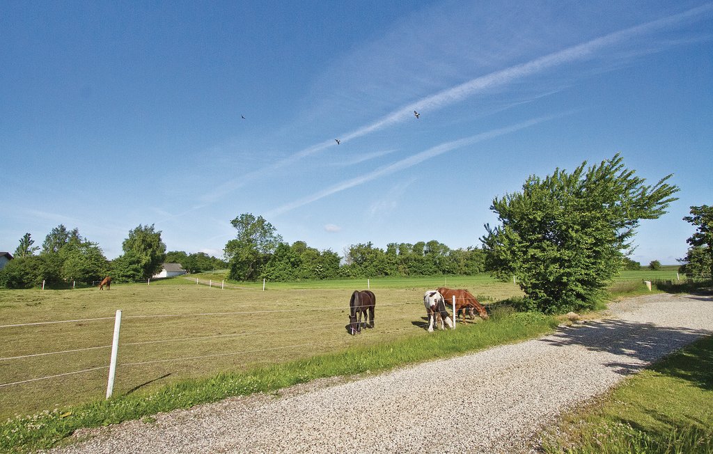 Ferienhaus - Lystrup , Dänemark - D76008 20