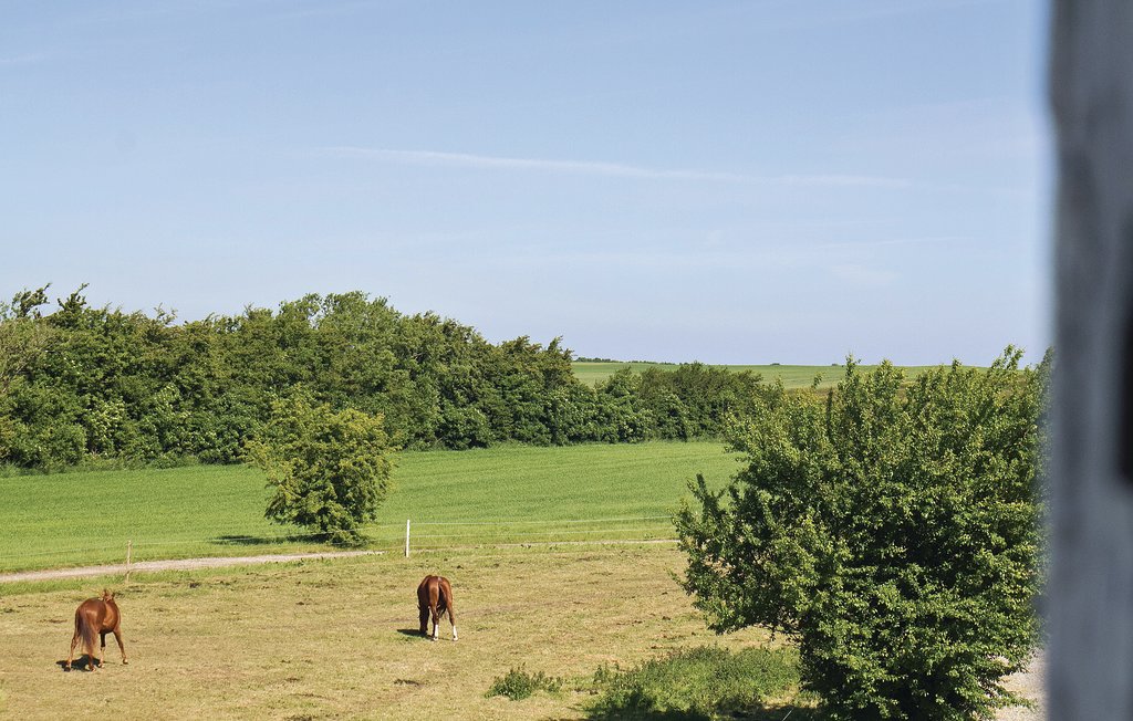 Ferienhaus - Lystrup , Dänemark - D76008 18