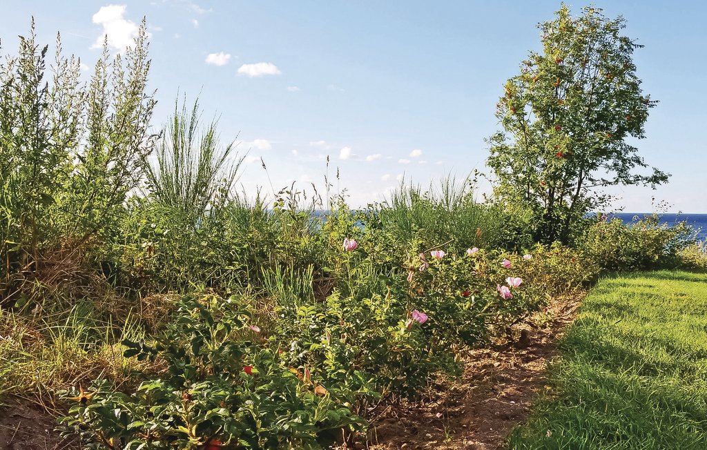 Ferienhaus - Skovgårde Strand , Dänemark - D76001 11