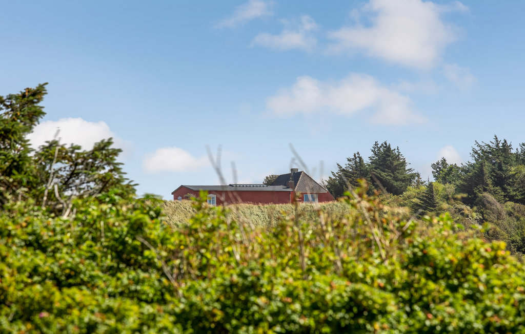 Ferienhaus - Blokhus Strand , Dänemark - D7604 18