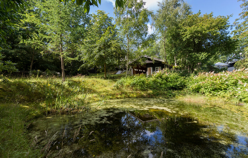 Feriehuse - Skovgårde Strand , Danmark - D76033 13