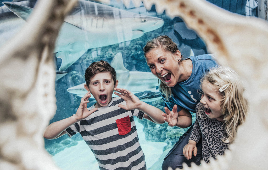 Ferienwohnung - Lübker Resort , Dänemark - D77101 26