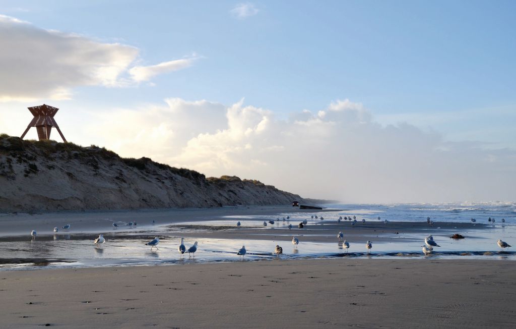 Semesterhus - Blokhus Strand , Danmark - D7746 28