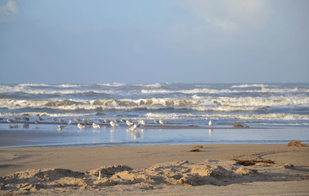 Semesterhus - Blokhus Strand , Danmark - D7746 29