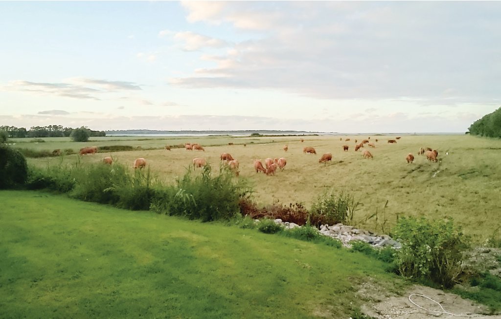 Ferienhaus - Udbyhøj , Dänemark - D78376 19