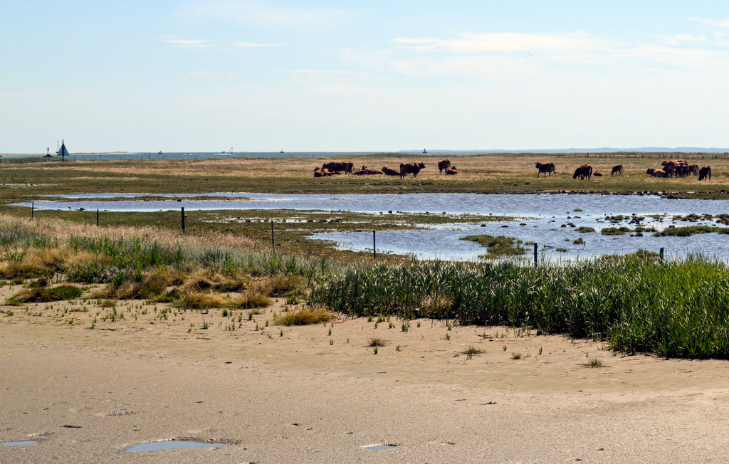 Ferienhaus - Udbyhøj , Dänemark - D78376 29