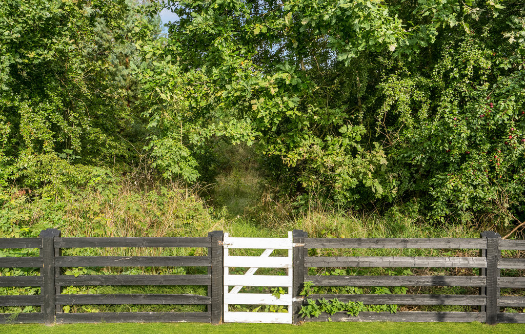 Ferienhaus - St. Sjørup , Dänemark - D79015 21
