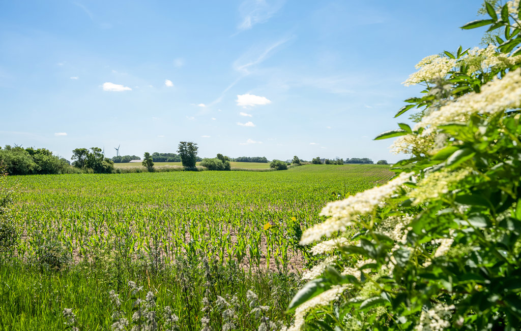 Feriehuse - St. Sjørup , Danmark - D79001 20