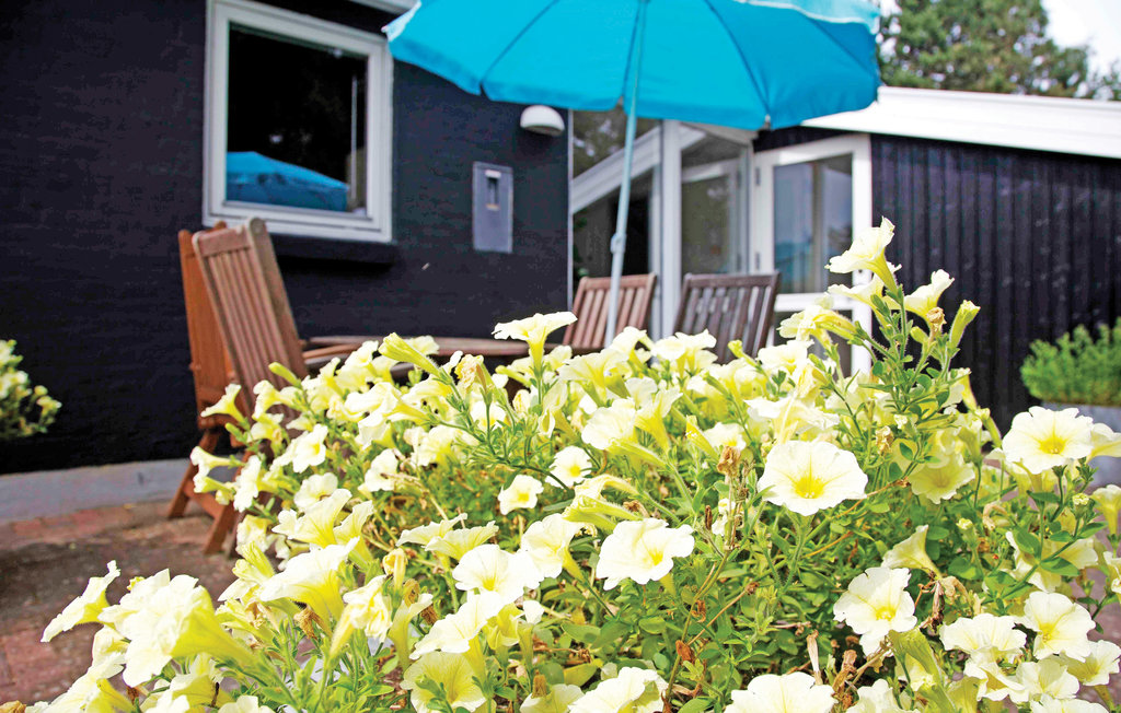 Feriehuse - St. Sjørup , Danmark - D79309 8