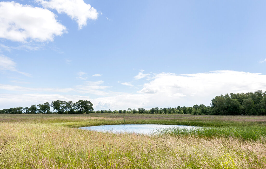 Ferienhaus - St. Sjørup , Dänemark - D79537 16