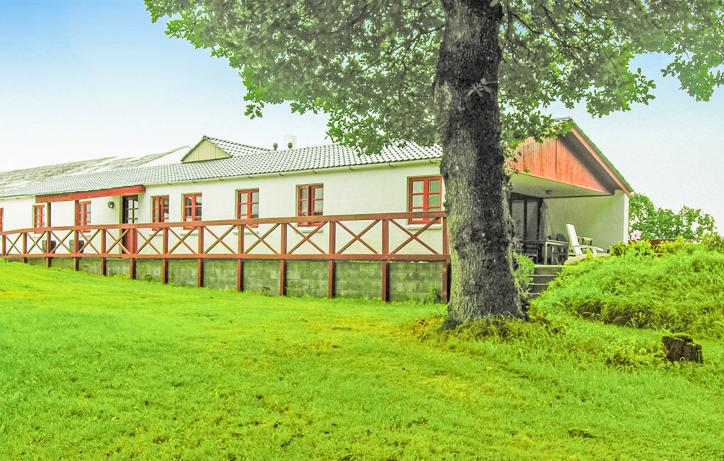 Ferienhaus Birknæsgård