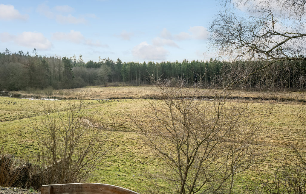 Ferienhaus - Filskov , Dänemark - D82166 11