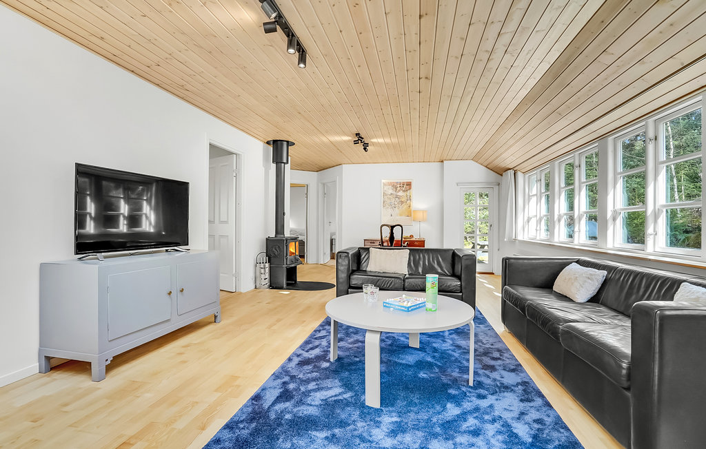 Feriehuse - Silkeborg , Danmark - D82010 3