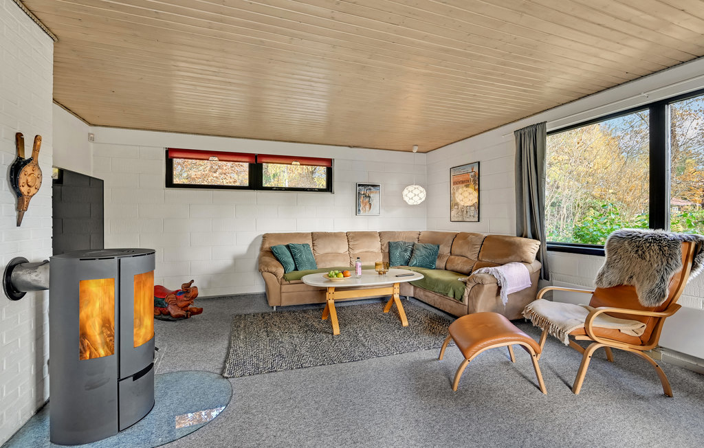 Feriehuse - Truust , Danmark - D82014 3