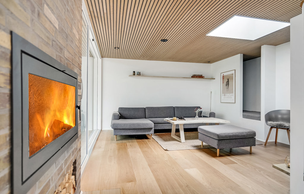 Ferienhaus - Bryrup , Dänemark - D82162 3