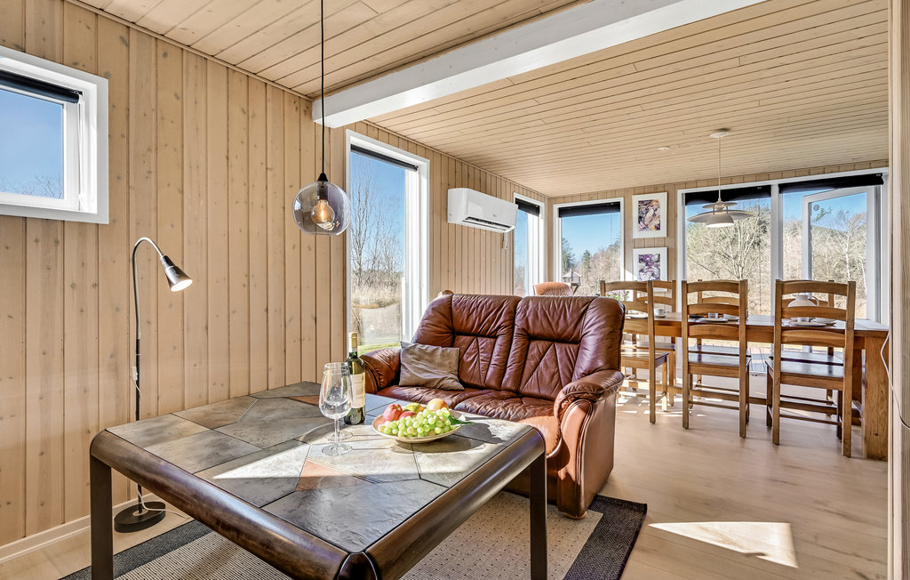 Feriehuse - Bryrup , Danmark - D82012 4