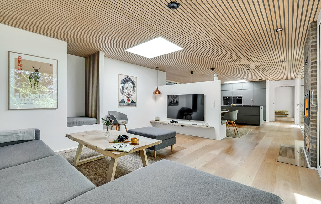 Ferienhaus - Bryrup , Dänemark - D82162 4