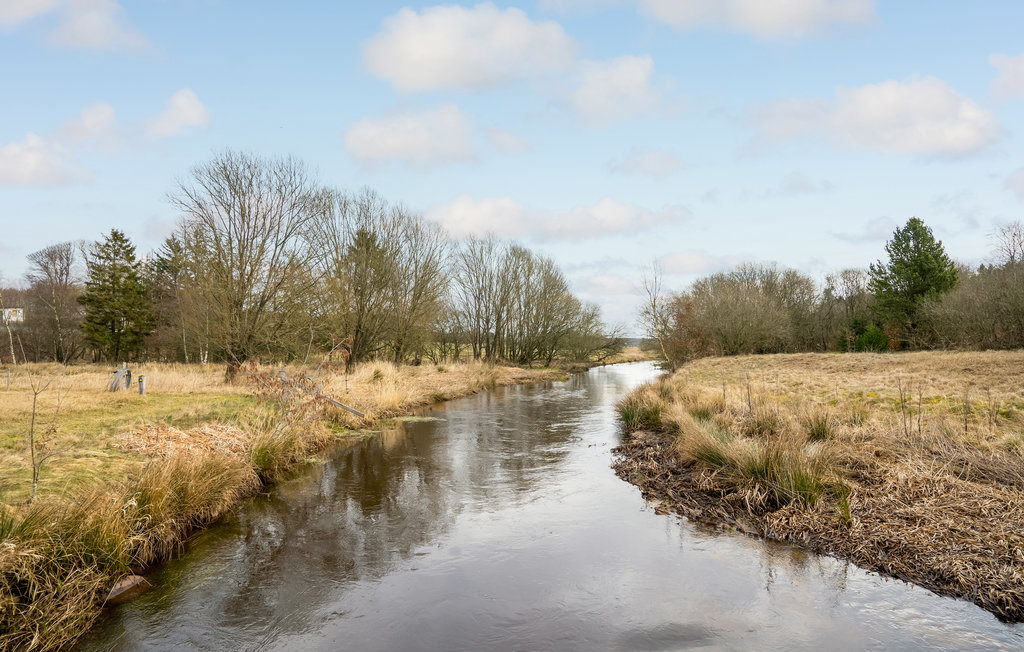 Ferienhaus - Filskov , Dänemark - D82166 9