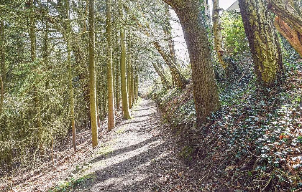 Feriehuse - Silkeborg , Danmark - D82134 18