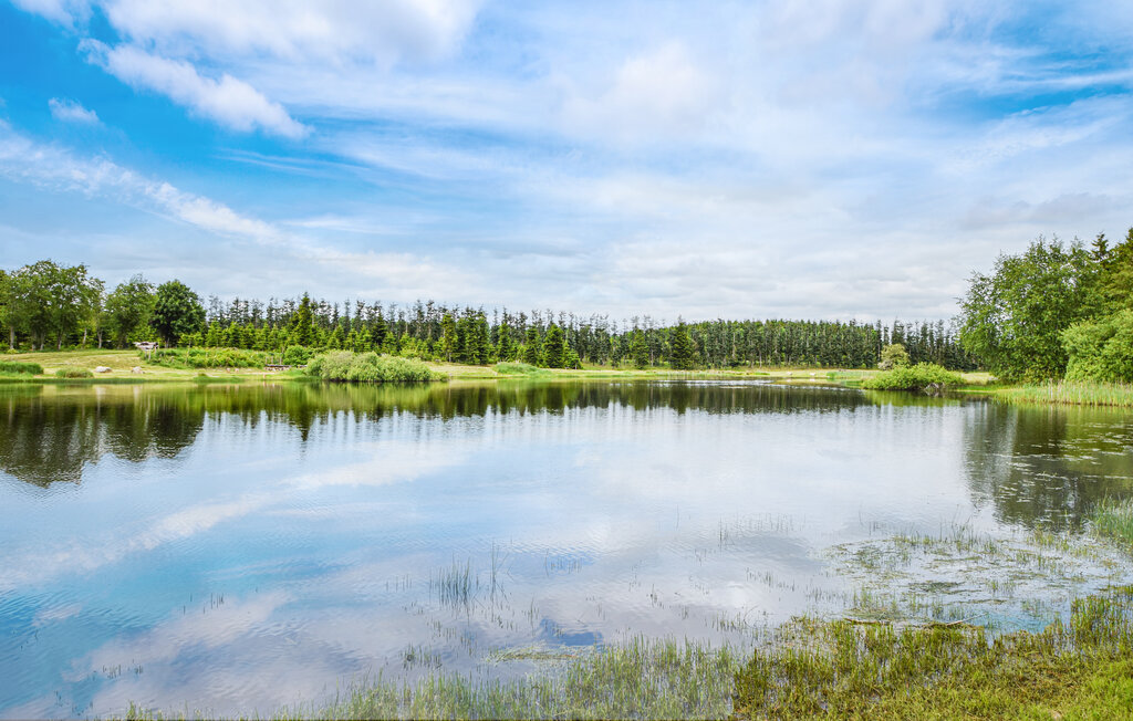 Ferienhaus - Funder Kirkeby , Dänemark - D82211 28