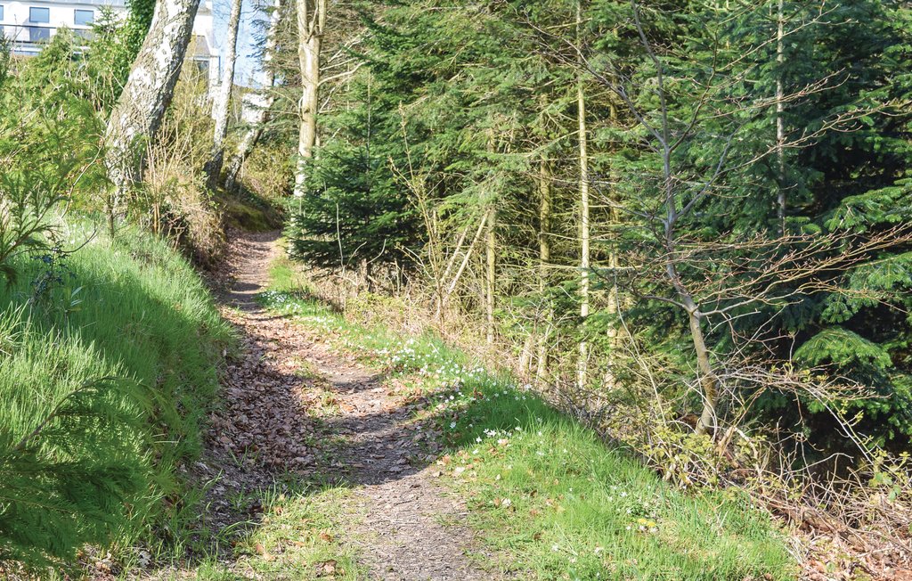 Feriehuse - Silkeborg , Danmark - D82134 19