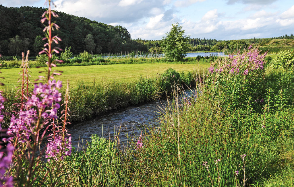 Ferienhaus - Rørbæk Sø , Dänemark - D82135 21