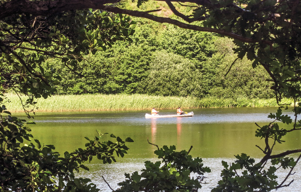 Ferienhaus - Rørbæk Sø , Dänemark - D82135 22