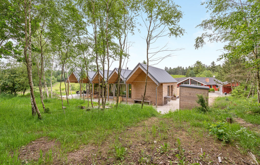 Feriehuse - Silkeborg , Danmark - D82160 13