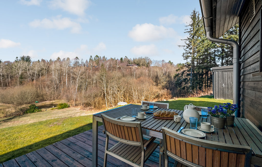 Feriehuse - Bryrup , Danmark - D82012 11