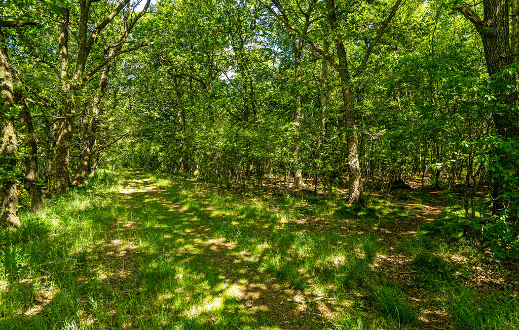 Feriehus - Hampen , Danmark - D82053 15