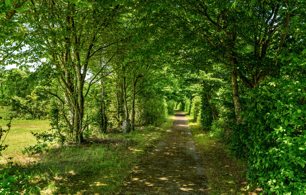 Feriehuse - Hampen , Danmark - D82050 16