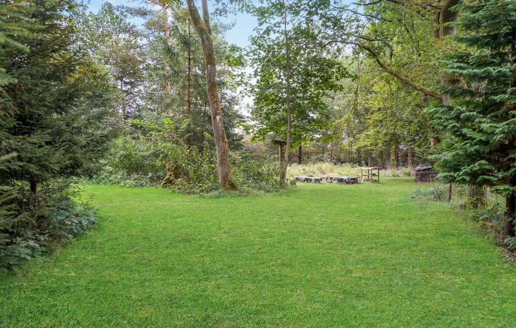 Feriehuse - Tange sø , Danmark - D82156 12