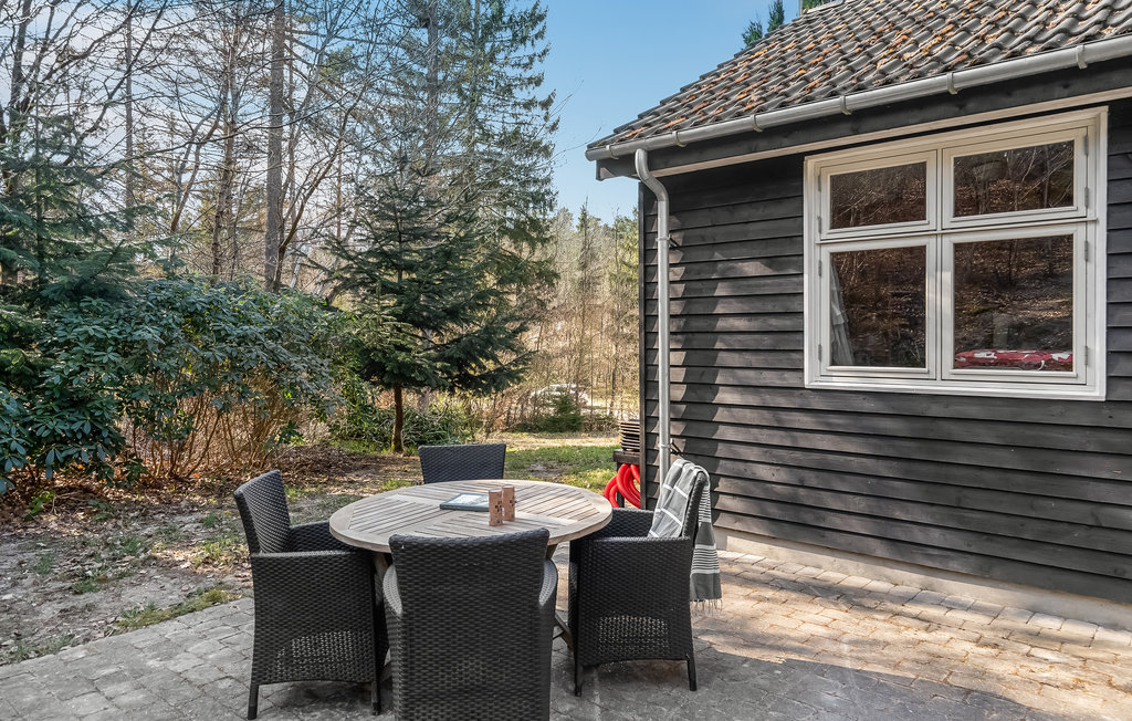 Feriehuse - Silkeborg , Danmark - D82010 12