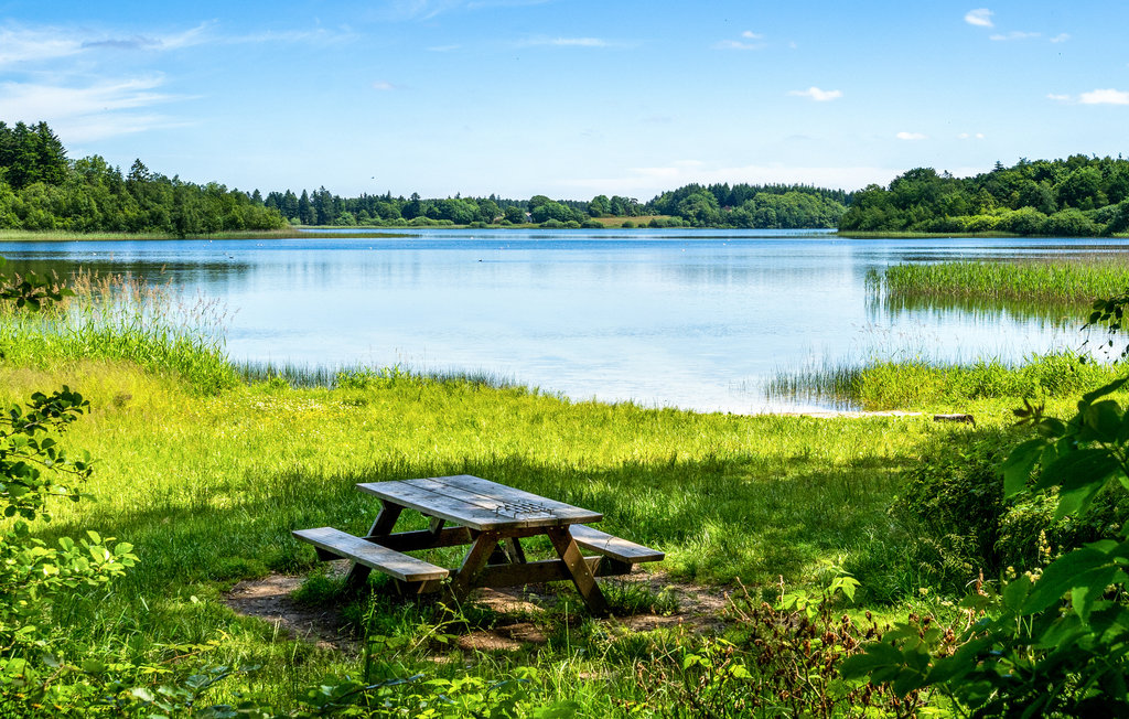 Feriehus - Hampen , Danmark - D82053 9