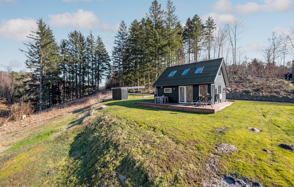 Feriehuse - Bryrup , Danmark - D82012 12