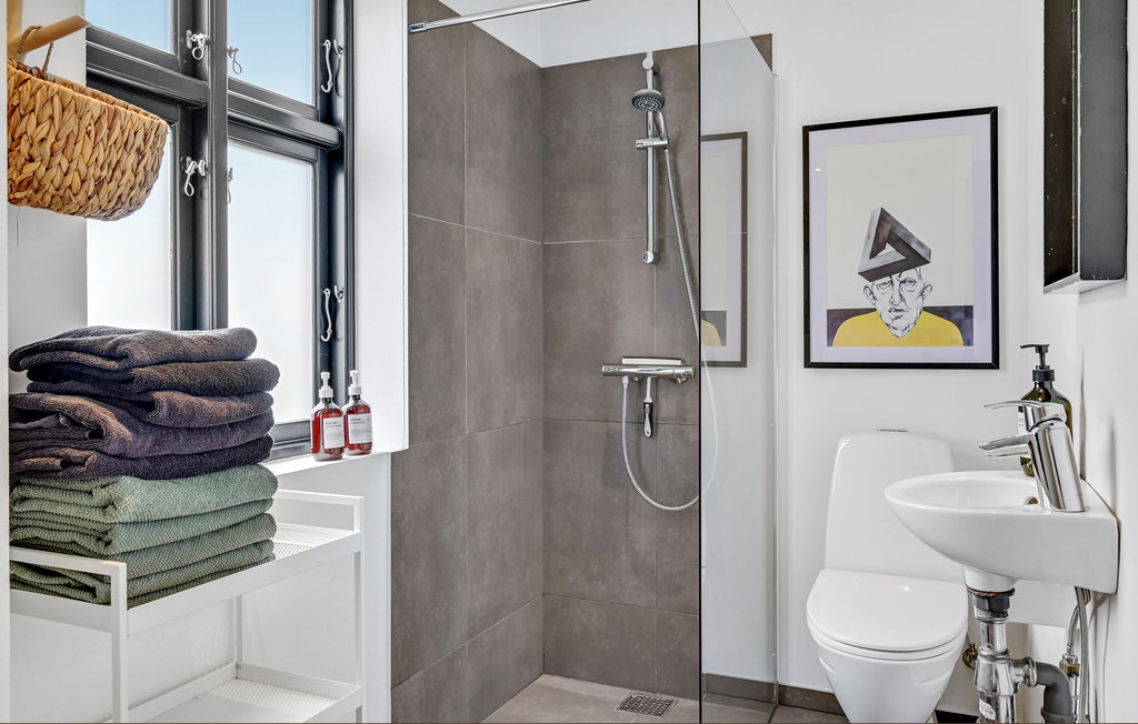 Ferienhaus - Silkeborg , Dänemark - D82016 24