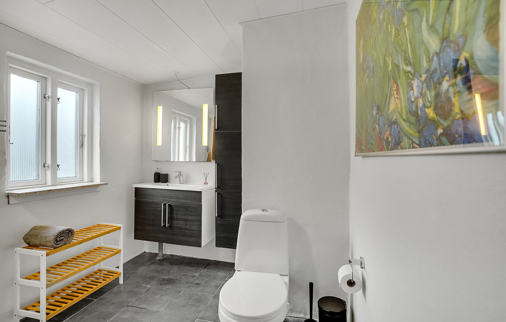 Ferienhaus - Bryrup , Dänemark - D82164 18