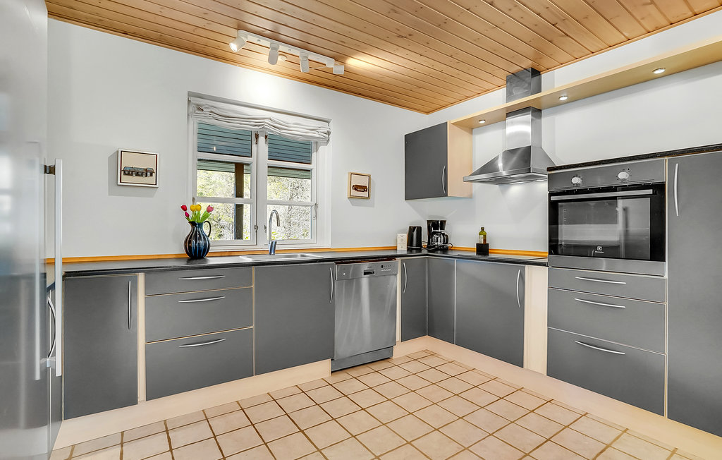 Feriehuse - Silkeborg , Danmark - D82010 6