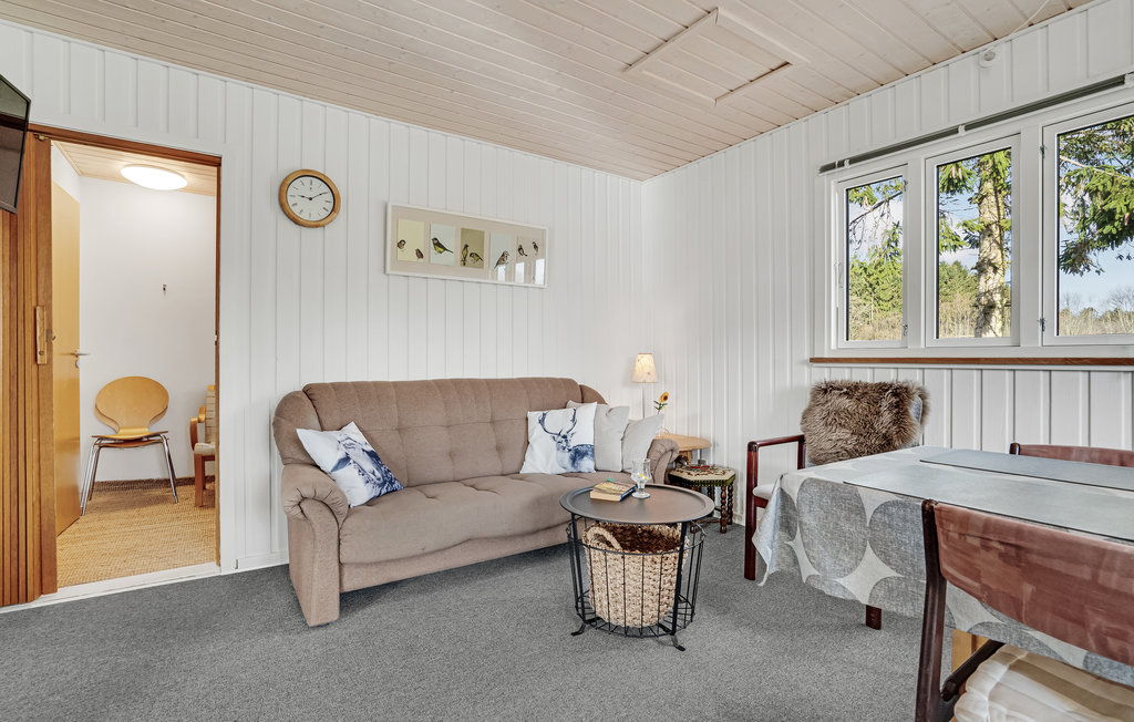 Ferienhaus - Filskov , Dänemark - D82166 4