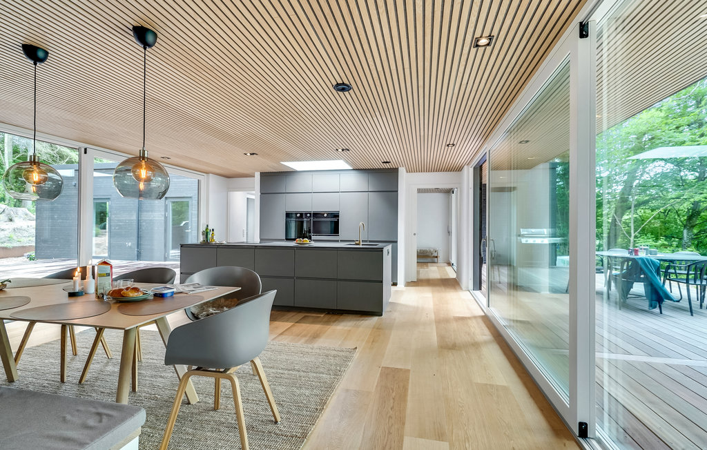 Ferienhaus - Bryrup , Dänemark - D82162 6