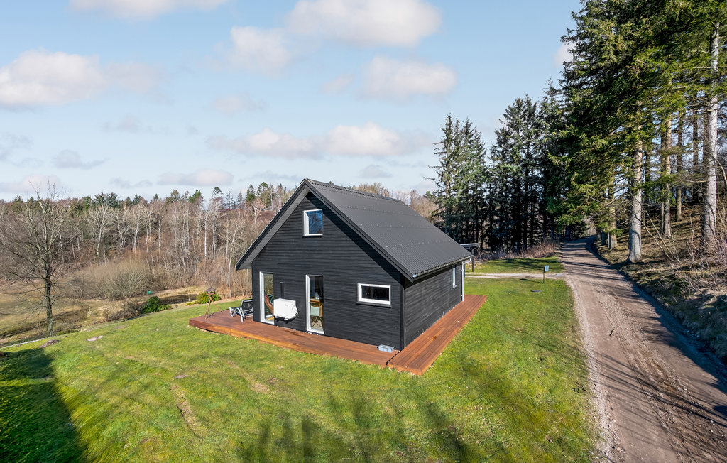 Feriehuse - Bryrup , Danmark - D82012 10